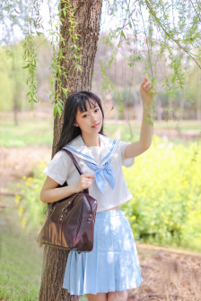 老练律师一共有多少集